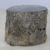 Table d'appoint bois pétrifié 54002
