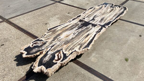 Table top petrified wood 54240