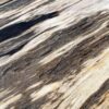 Table top petrified wood 54240