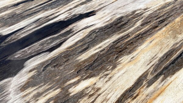 Table top petrified wood 54240