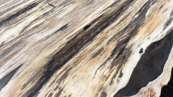 Table top petrified wood 54240