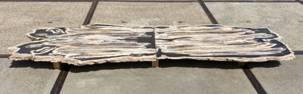 Table top petrified wood 54240