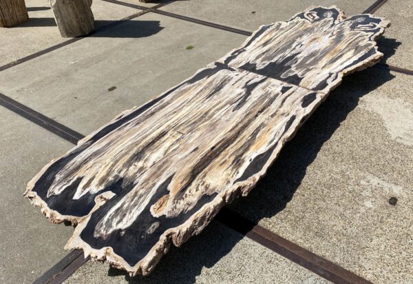 Table top petrified wood 54240