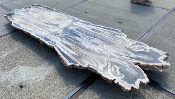 Table top petrified wood 54240