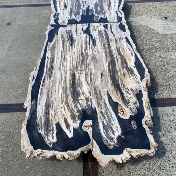 Table top petrified wood 54240