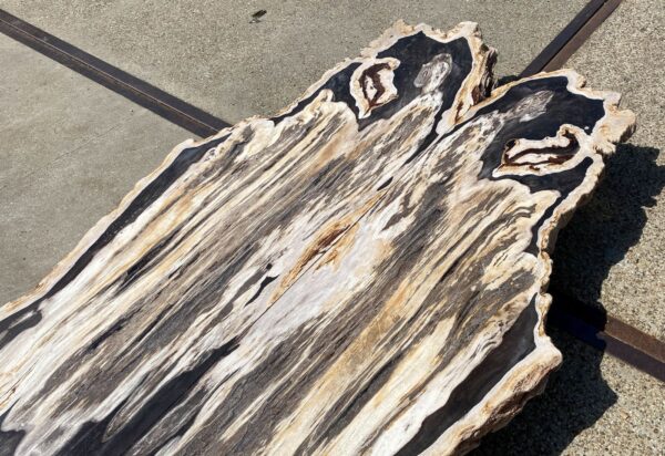 Table top petrified wood 54240