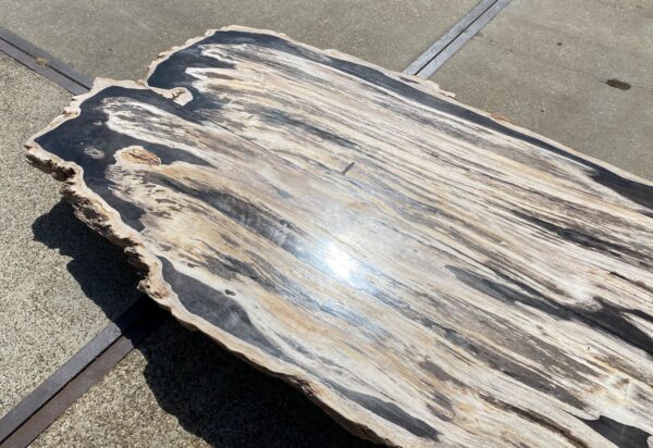 Table top petrified wood 54240