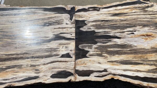 Table top petrified wood 54240