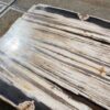 Table top petrified wood 54241