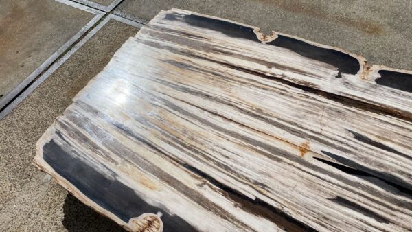 Table top petrified wood 54241