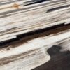 Table top petrified wood 54241