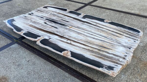 Table top petrified wood 54241