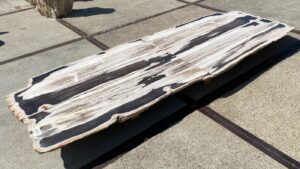 Table top petrified wood 54242