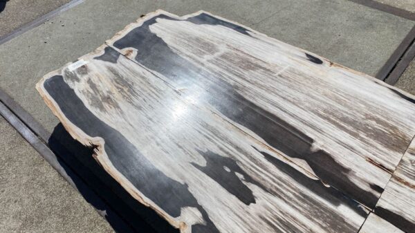 Table top petrified wood 54242