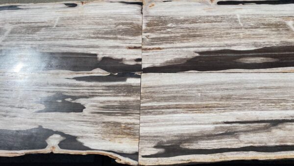 Table top petrified wood 54242