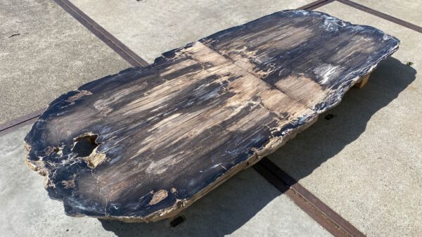 Table top petrified wood 54243