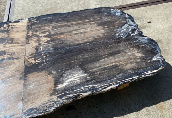 Table top petrified wood 54243