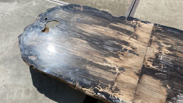 Table top petrified wood 54243