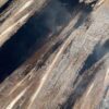 Table top petrified wood 54244