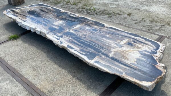 Table top petrified wood 54244