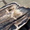 Table top petrified wood 54244