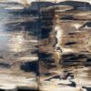 Table top petrified wood 54244