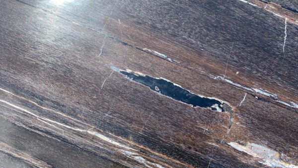 Table top petrified wood 54245