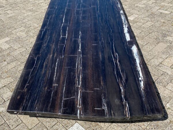 Table top petrified wood 54245