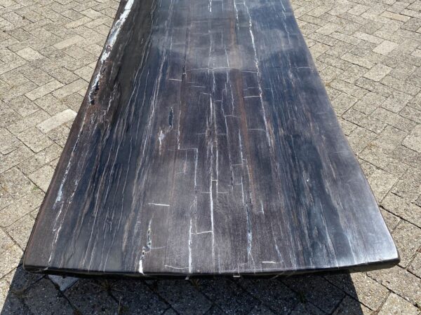 Table top petrified wood 54245