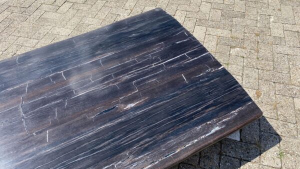 Table top petrified wood 54245