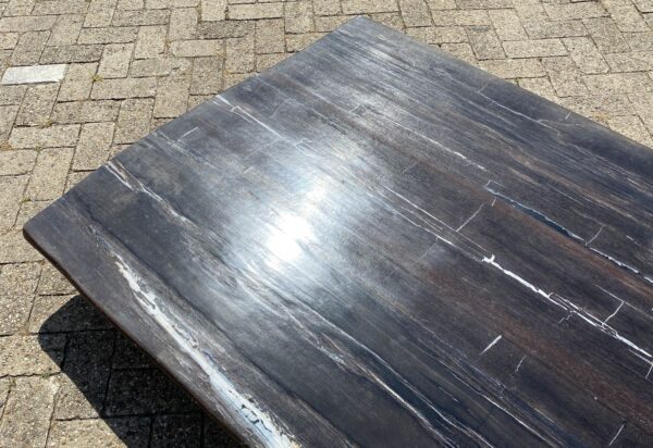 Table top petrified wood 54245