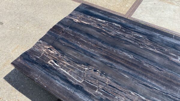 Table top petrified wood 54246