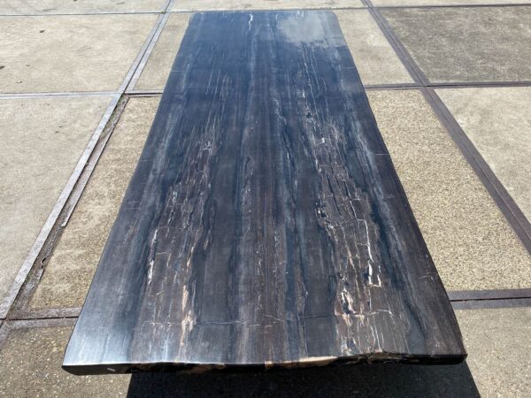 Table top petrified wood 54246