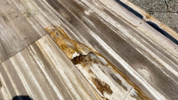 Table top petrified wood 54249