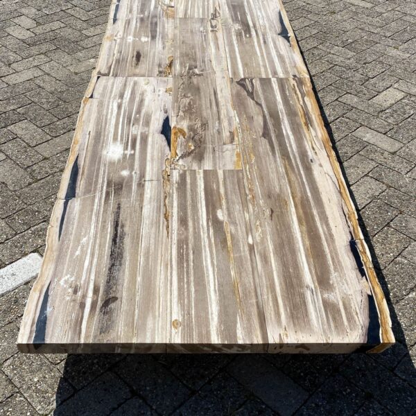 Table top petrified wood 54249