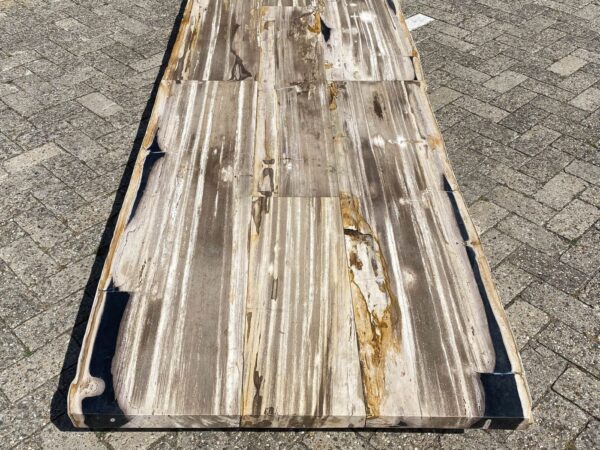 Table top petrified wood 54249