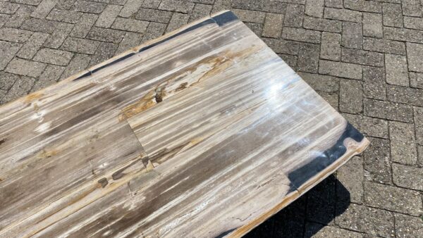 Table top petrified wood 54249