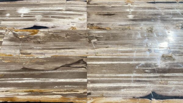 Table top petrified wood 54249