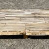 Table top petrified wood 54250