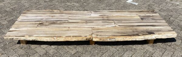 Table top petrified wood 54250