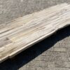 Table top petrified wood 54250