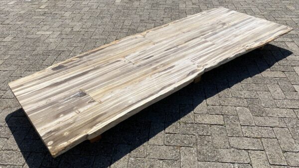 Table top petrified wood 54250