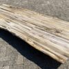 Table top petrified wood 54250