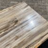 Table top petrified wood 54250