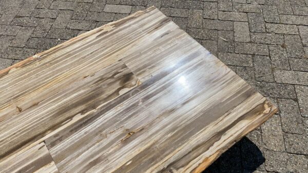 Table top petrified wood 54250