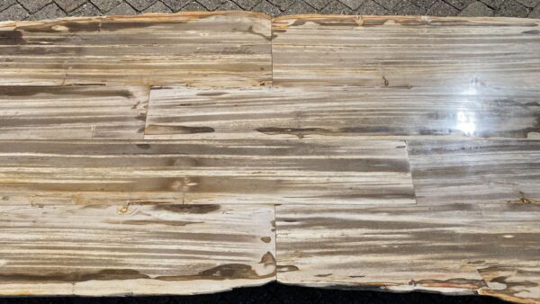 Table top petrified wood 54250