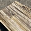 Table top petrified wood 54250