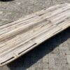 Table top petrified wood 54251