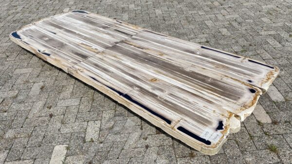 Table top petrified wood 54251