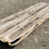 Table top petrified wood 54251